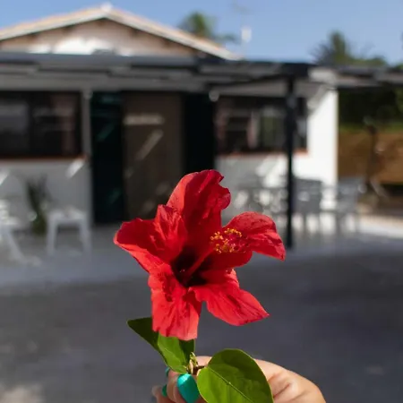 A Due Passi Dal Mare Noto