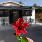 A Due Passi Dal Mare Noto